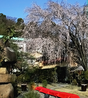 弘法の湯、伊古奈荘